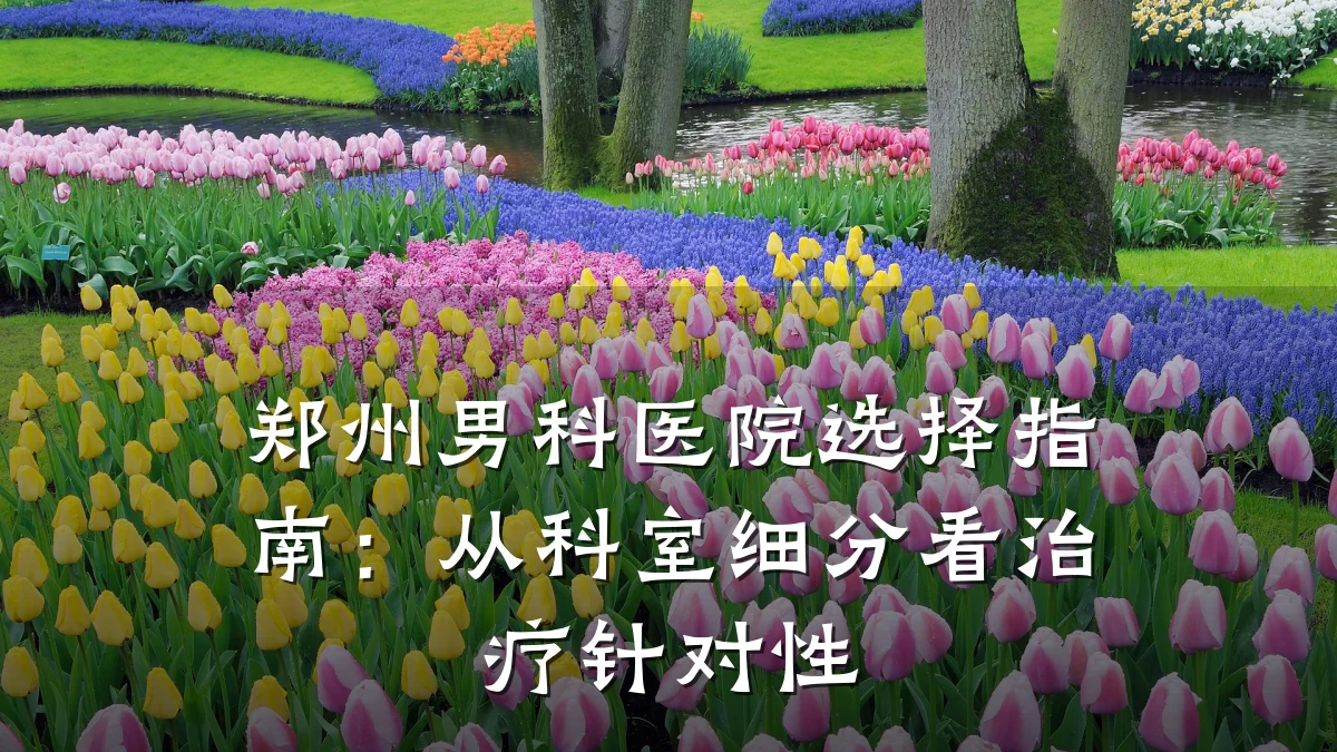 郑州男科医院选择指南:从科室细分看治疗针对性