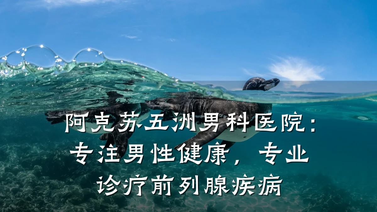 阿克苏五洲男科医院:专注男性健康,专业诊疗前列腺疾病
