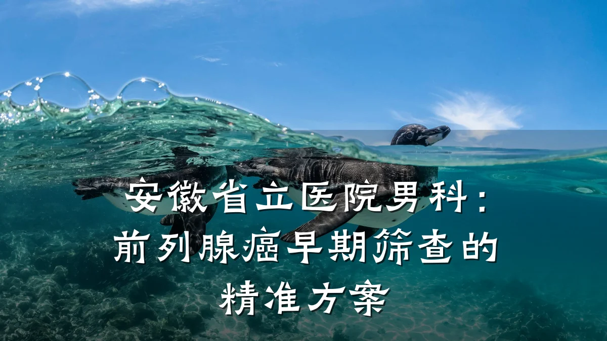 安徽省立医院男科:前列腺癌早期筛查的精准方案
