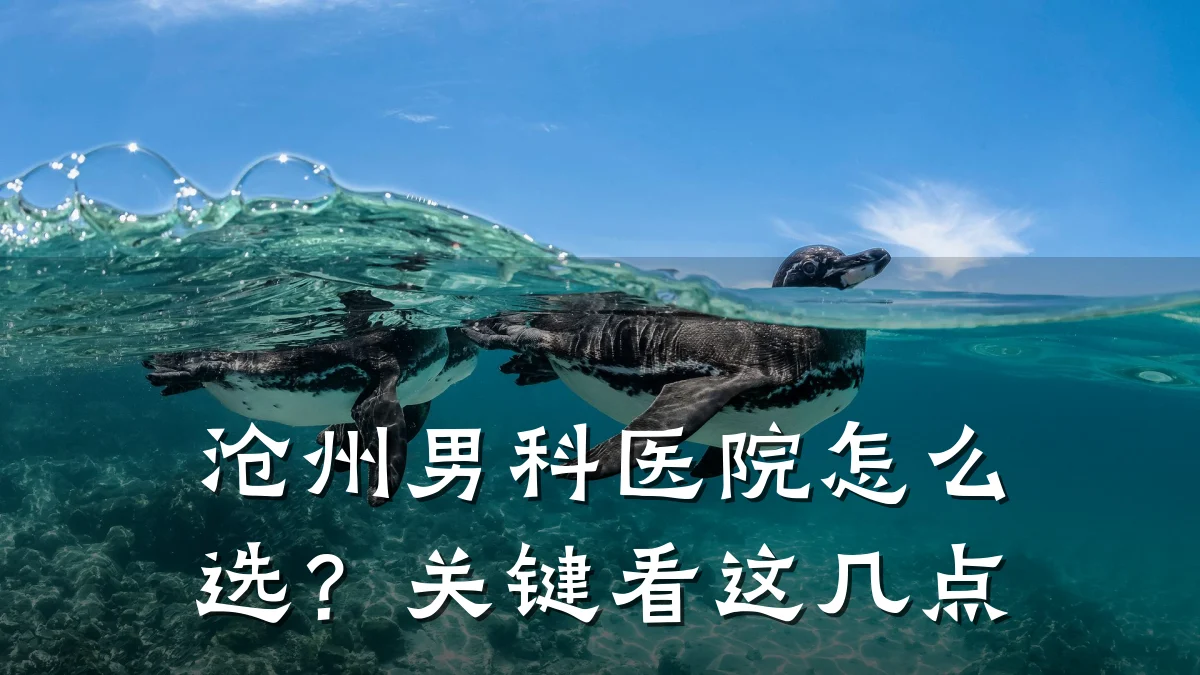 沧州男科医院怎么选?关键看这几点