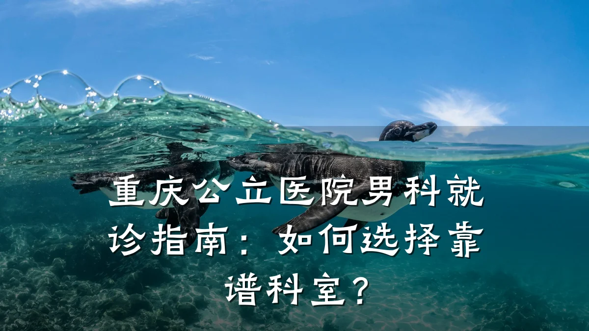 重庆公立医院男科就诊指南:如何选择靠谱科室?
