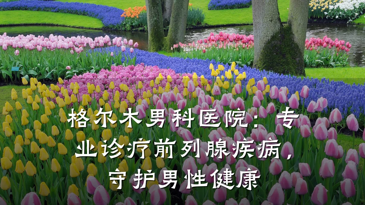 格尔木男科医院:专业诊疗前列腺疾病,守护男性健康
