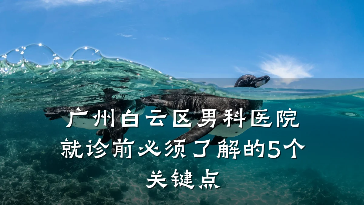 广州白云区男科医院就诊前必须了解的5个关键点