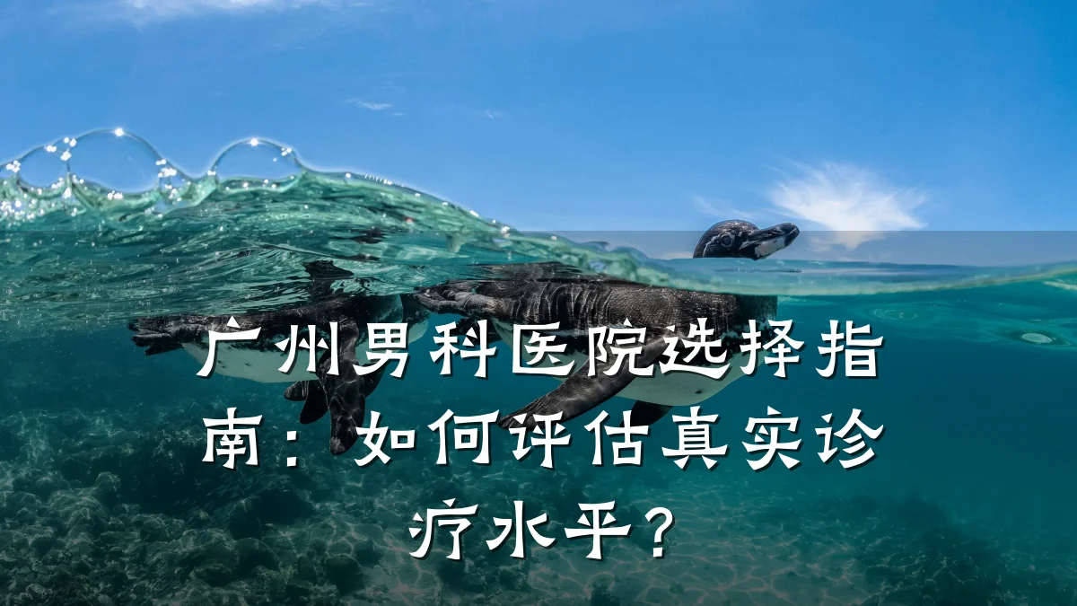 广州男科医院选择指南:如何评估真实诊疗水平?