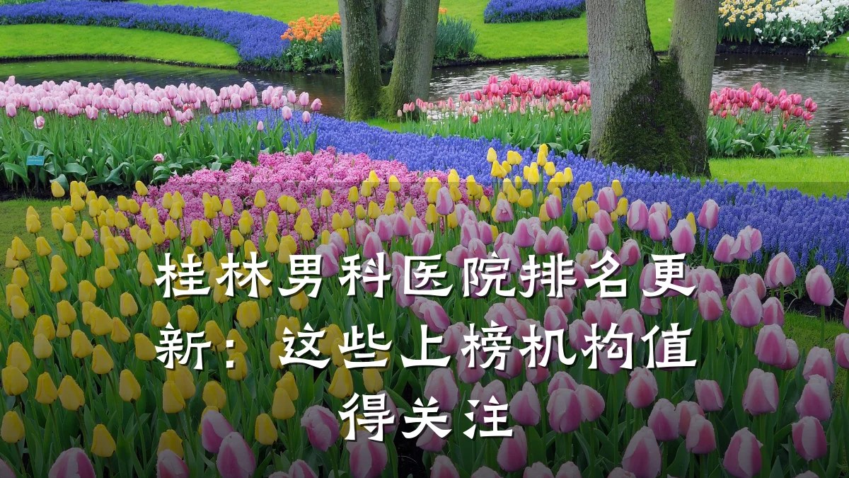 桂林男科医院排名更新:这些上榜机构值得关注