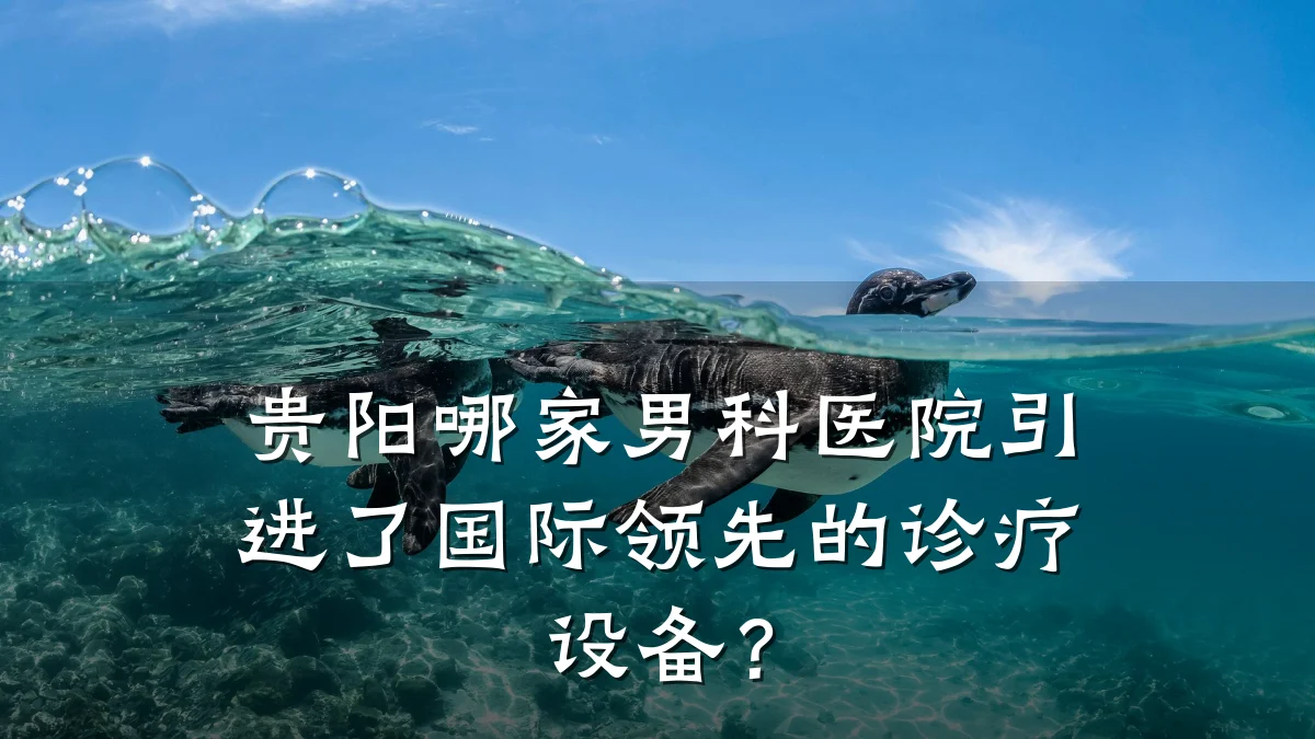 贵阳哪家男科医院引进了国际领先的诊疗设备?