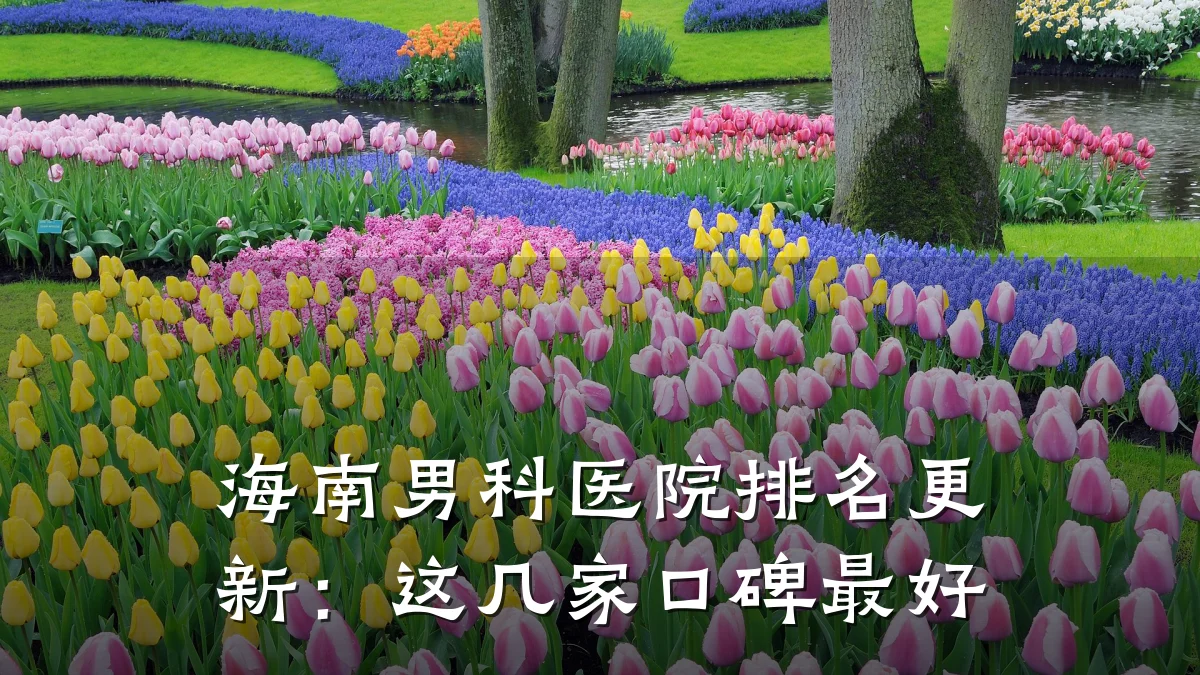 海南男科医院排名更新:这几家口碑最好