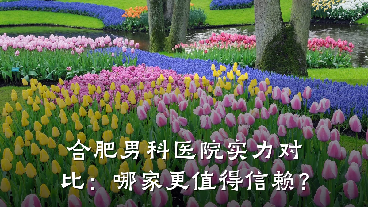 合肥男科医院实力对比:哪家更值得信赖?