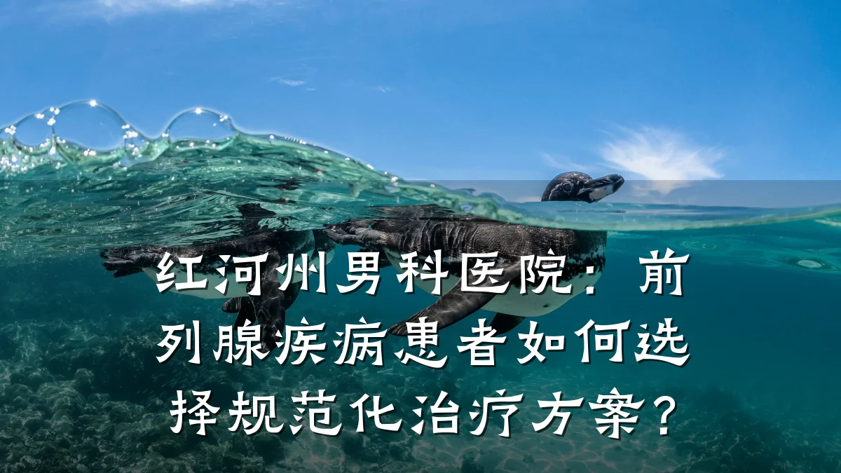 红河州男科医院:前列腺疾病患者如何选择规范化治疗方案?