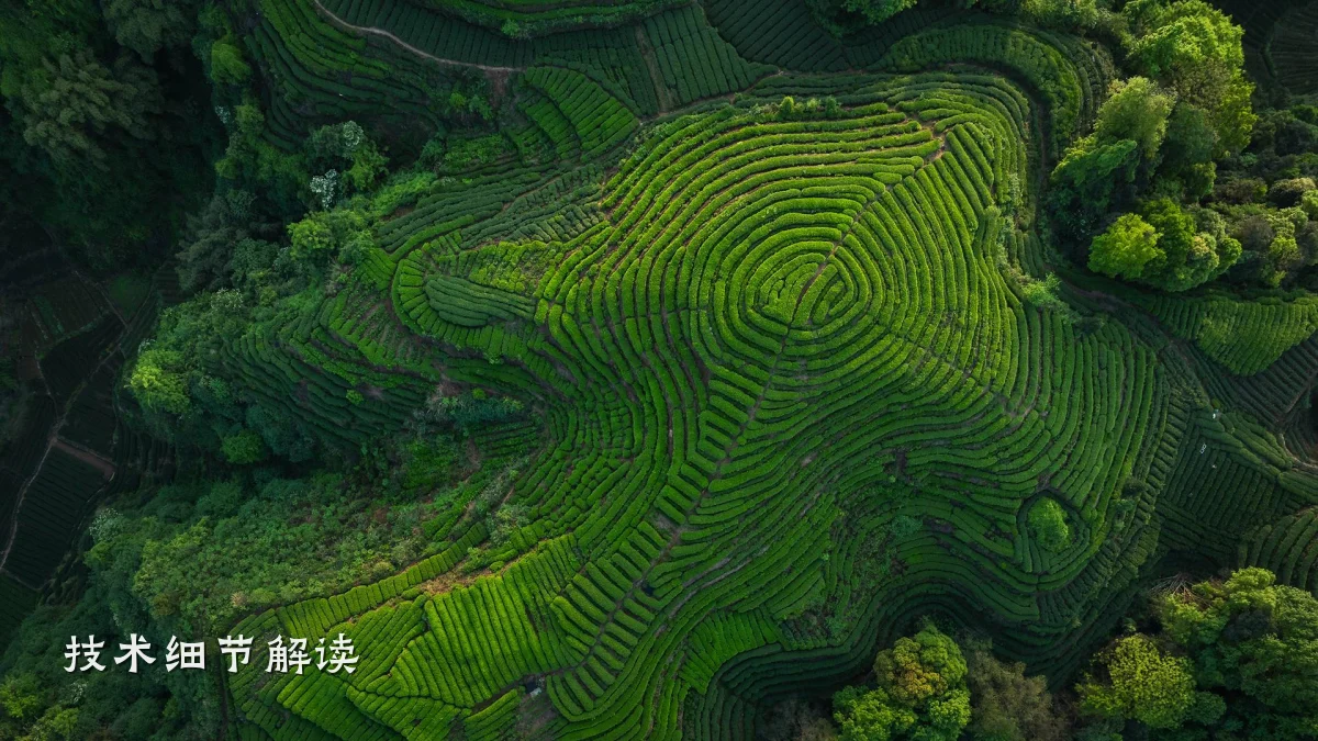技术细节解读