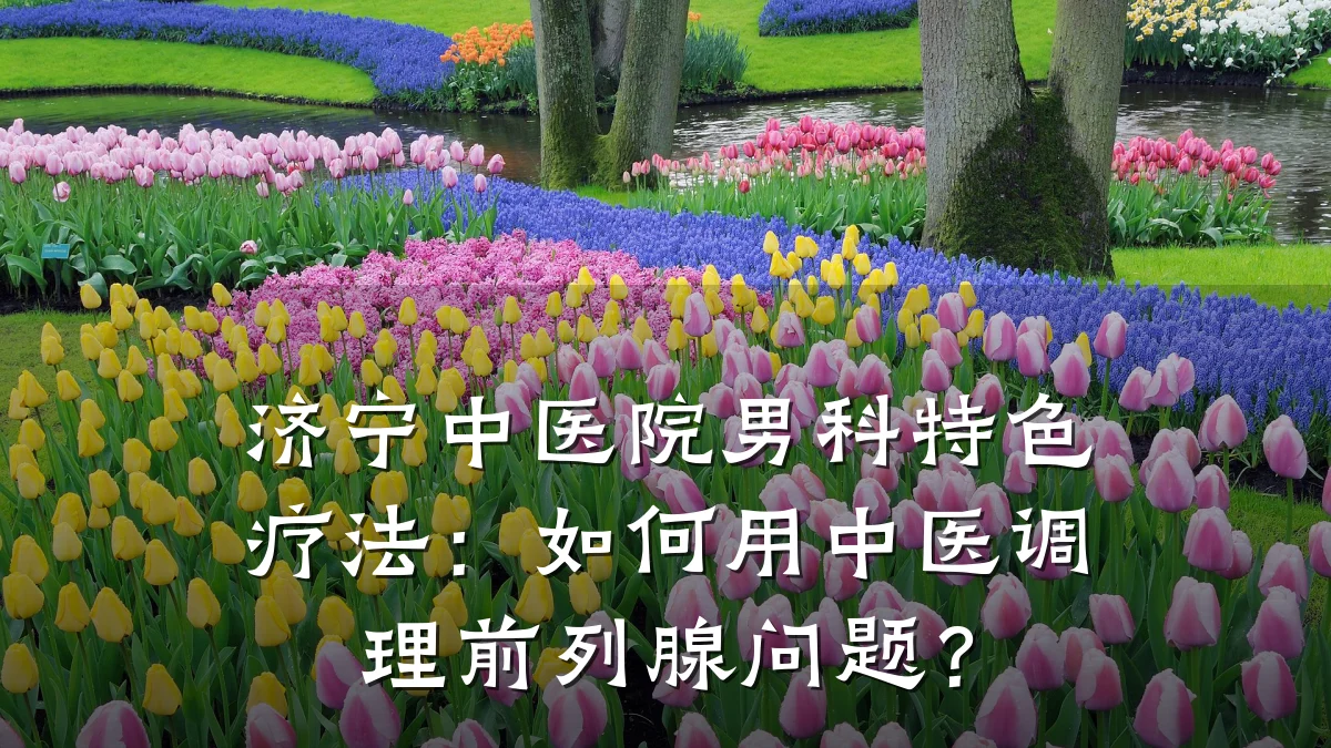 济宁中医院男科特色疗法:如何用中医调理前列腺问题?