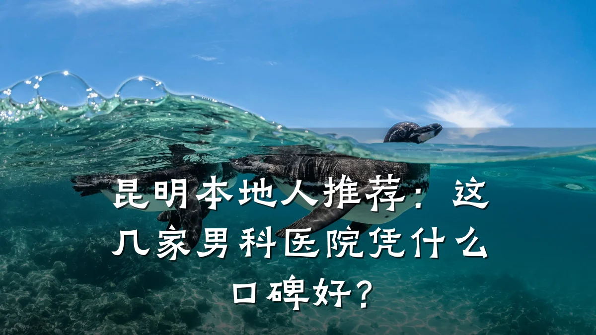 昆明本地人推荐:这几家男科医院凭什么口碑好?