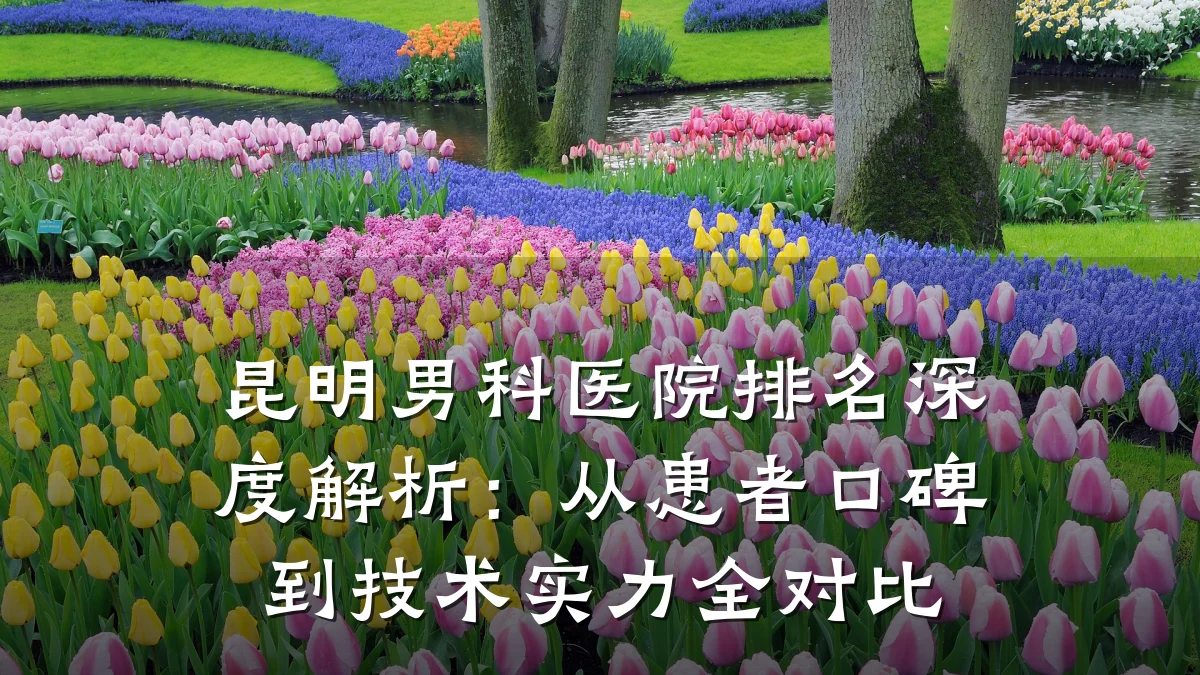昆明男科医院排名深度解析:从患者口碑到技术实力全对比