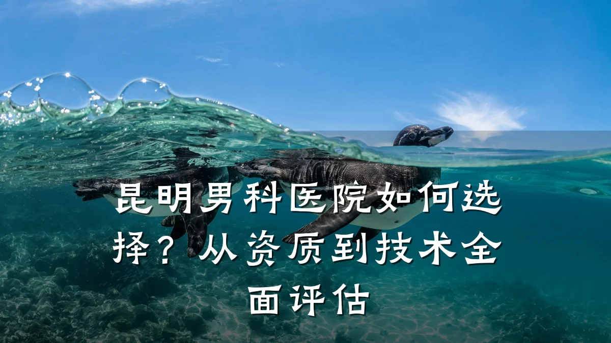 昆明男科医院如何选择?从资质到技术全面评估
