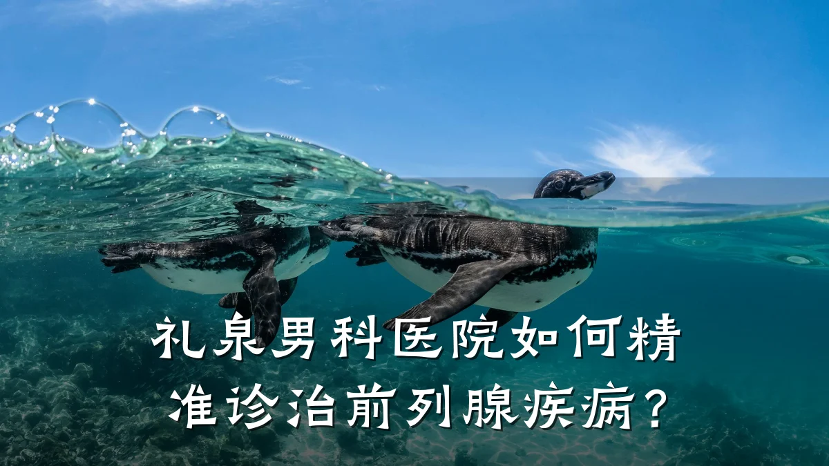 礼泉男科医院如何精准诊治前列腺疾病?