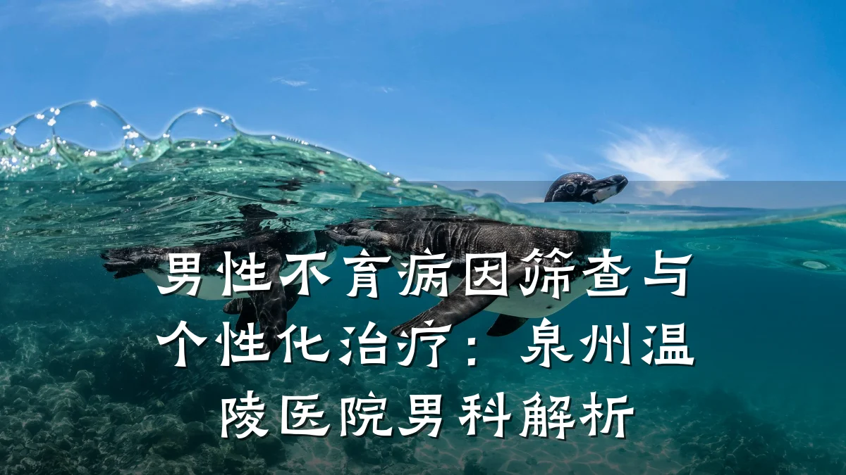 男性不育病因筛查与个性化治疗:泉州温陵医院男科解析