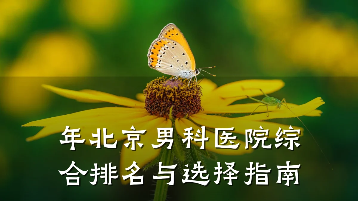 年北京男科医院综合排名与选择指南