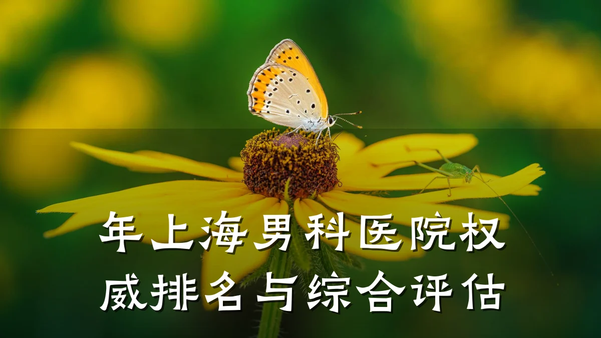 年上海男科医院权威排名与综合评估