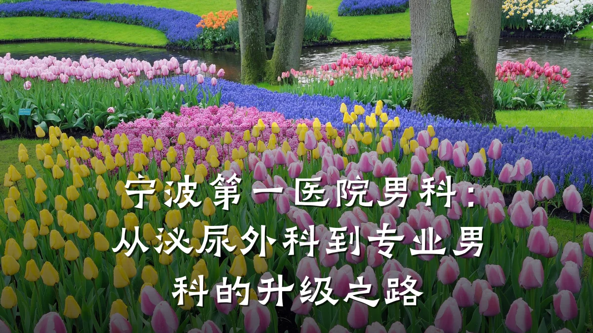 宁波第一医院男科:从泌尿外科到专业男科的升级之路