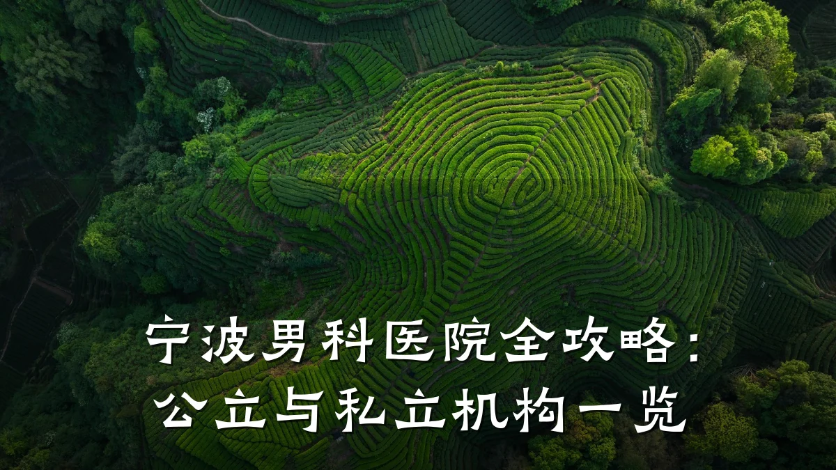宁波男科医院全攻略:公立与私立机构一览