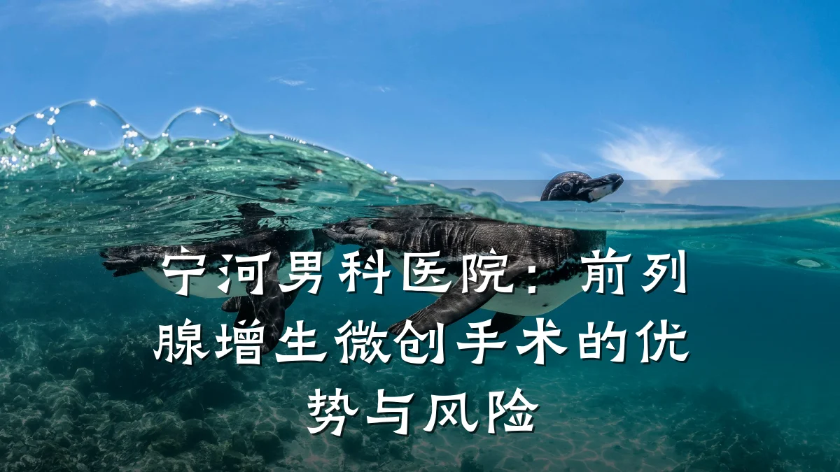 宁河男科医院:前列腺增生微创手术的优势与风险