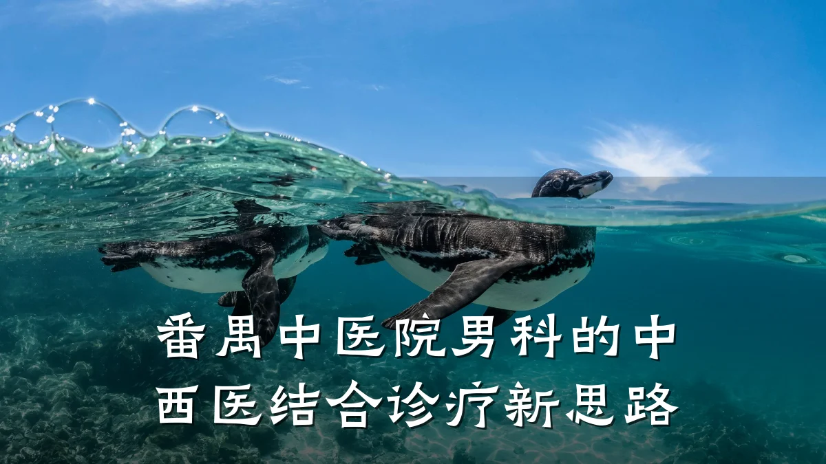 番禺中医院男科的中西医结合诊疗新思路