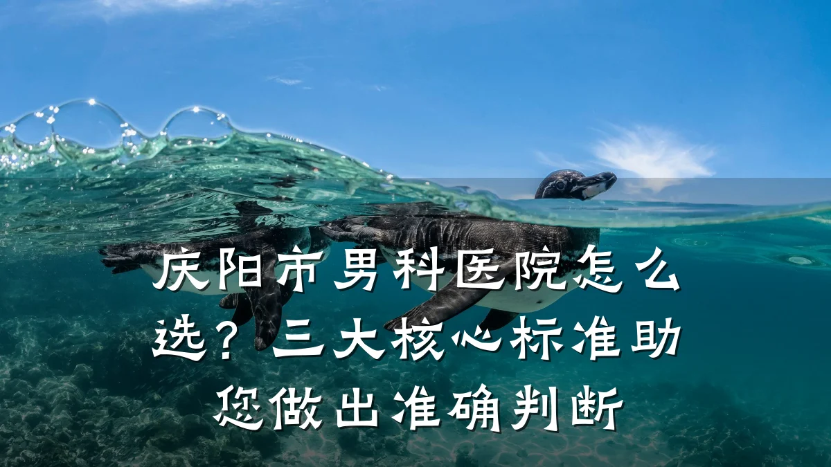 庆阳市男科医院怎么选?三大核心标准助您做出准确判断