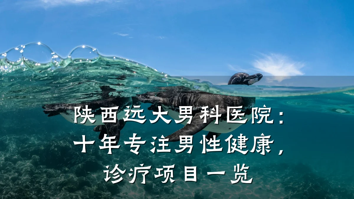 陕西远大男科医院:十年专注男性健康,诊疗项目一览