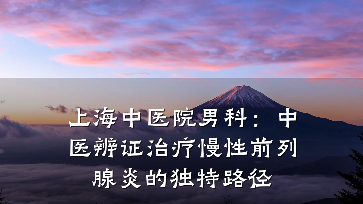 上海中医院男科:中医辨证治疗慢性前列腺炎的独特路径