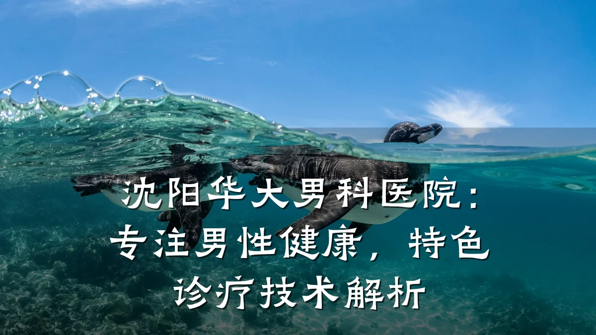 沈阳华大男科医院:专注男性健康,特色诊疗技术解析