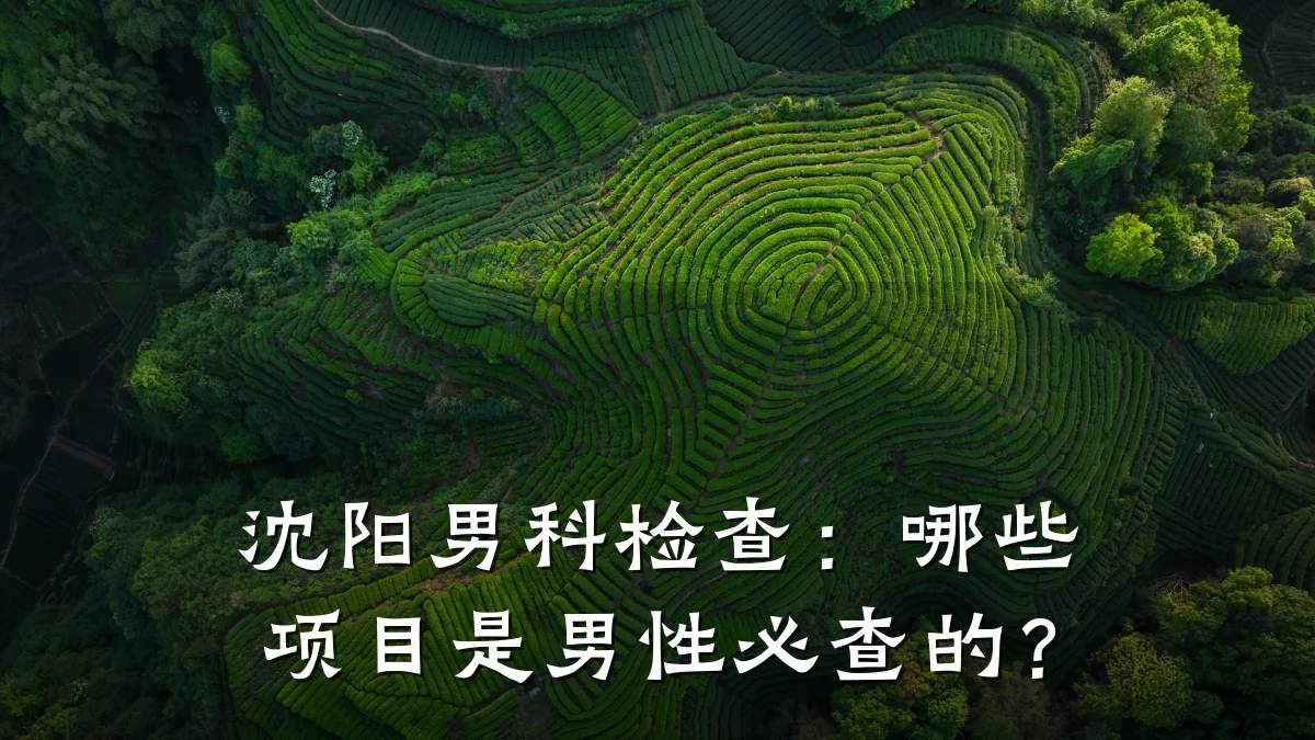 沈阳男科检查:哪些项目是男性必查的?