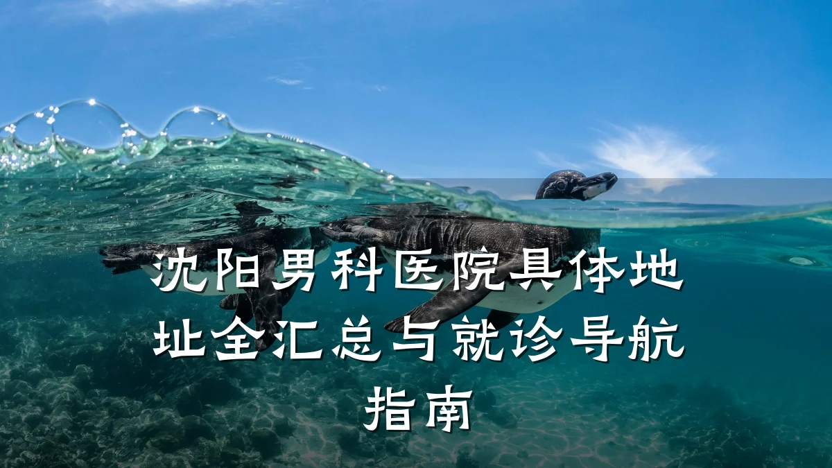 沈阳男科医院具体地址全汇总与就诊导航指南