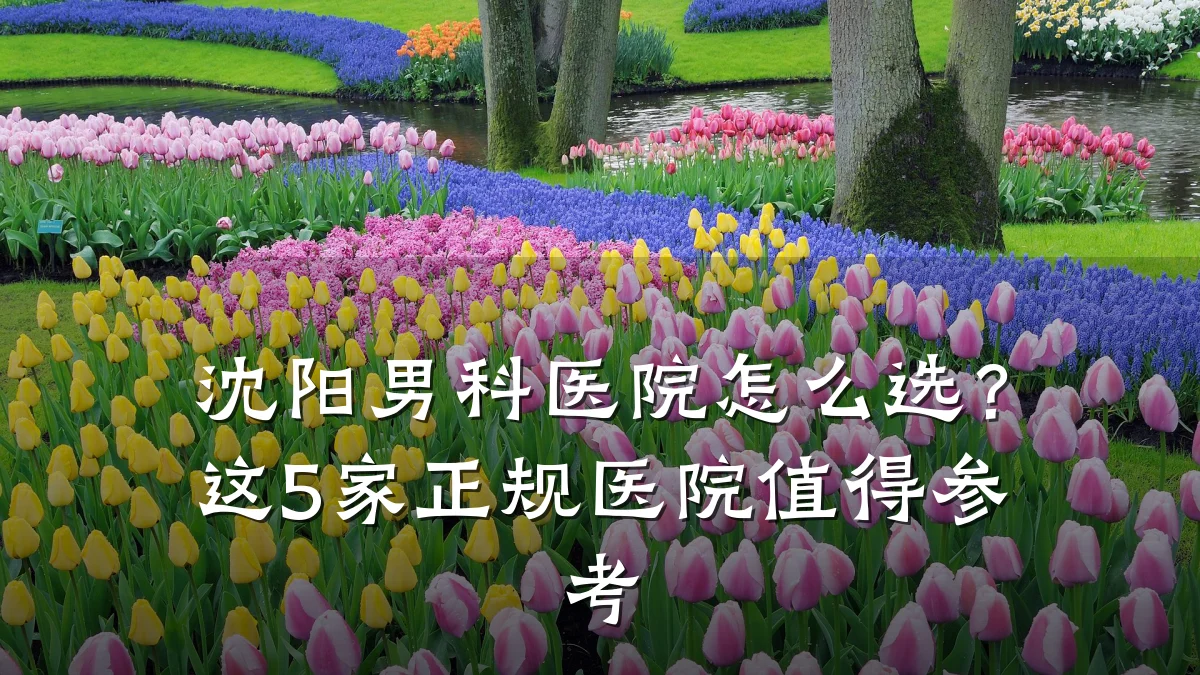 沈阳男科医院怎么选?这5家正规医院值得参考