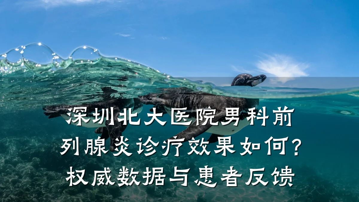 深圳北大医院男科前列腺炎诊疗效果如何?权威数据与患者反馈
