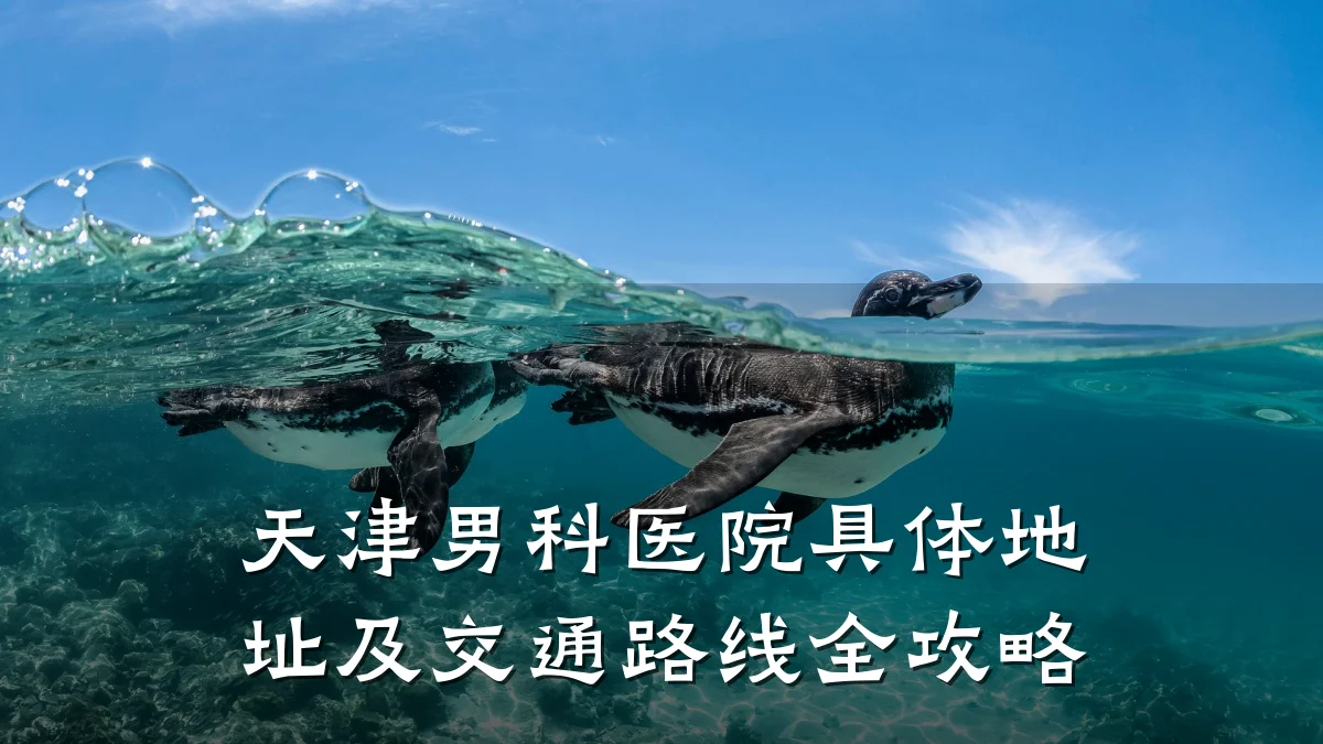 天津男科医院具体地址及交通路线全攻略