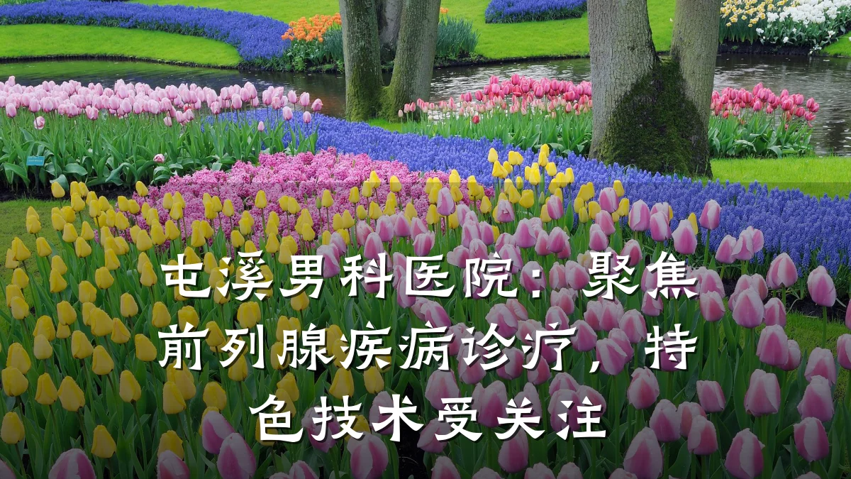 屯溪男科医院:聚焦前列腺疾病诊疗,特色技术受关注