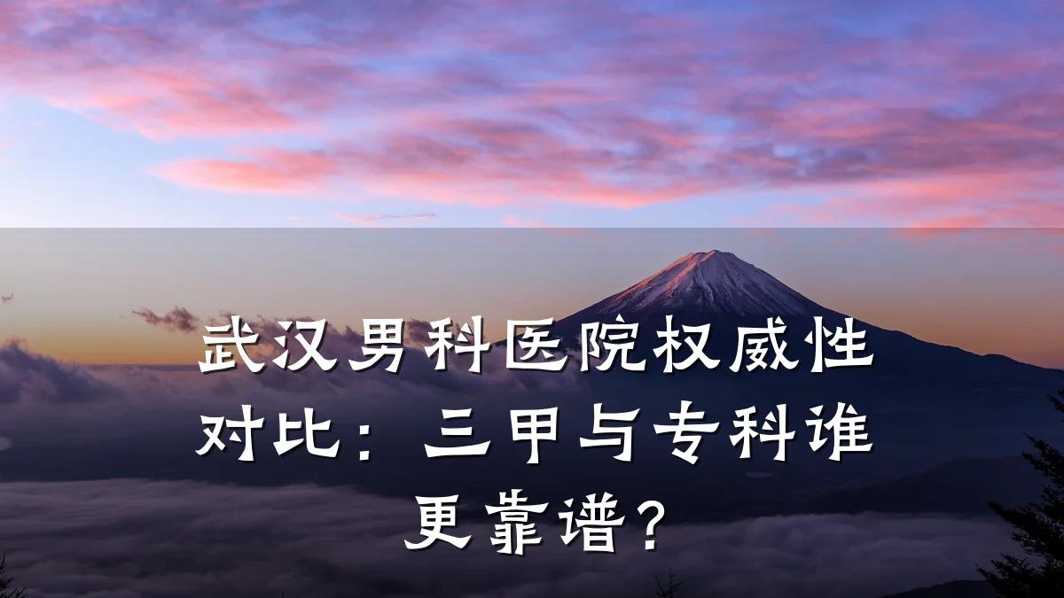 武汉男科医院权威性对比:三甲与专科谁更靠谱?
