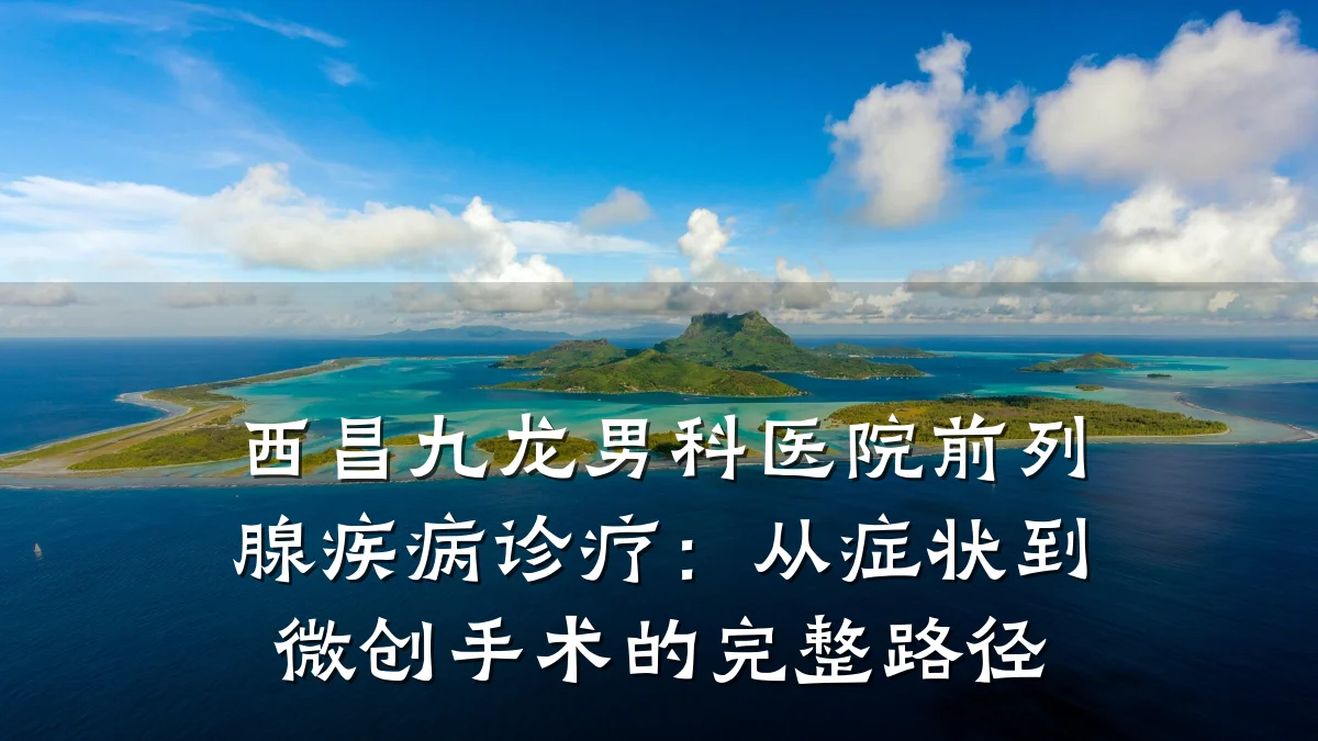 西昌九龙男科医院前列腺疾病诊疗:从症状到微创手术的完整路径