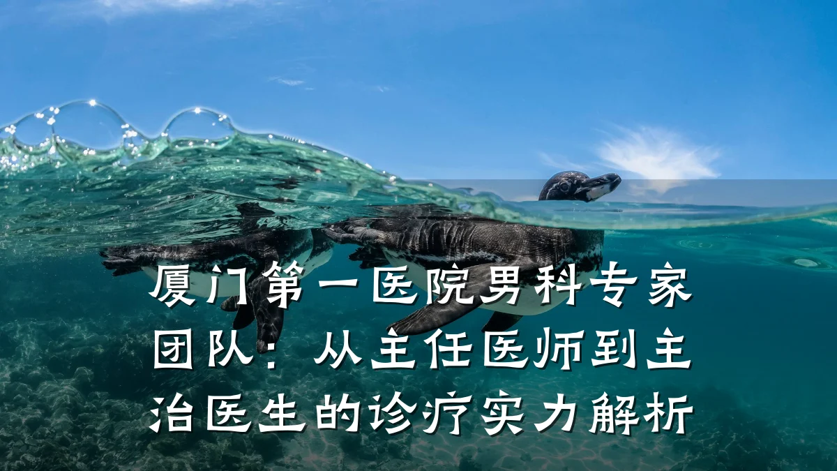 厦门第一医院男科专家团队:从主任医师到主治医生的诊疗实力解析