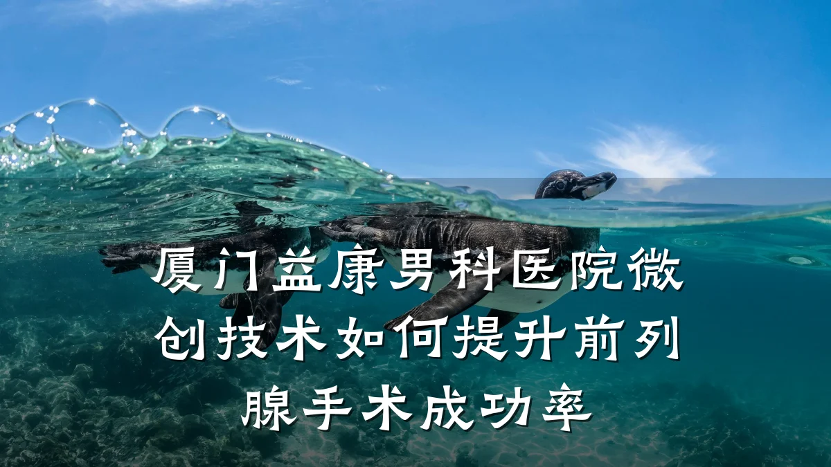 厦门益康男科医院微创技术如何提升前列腺手术成功率