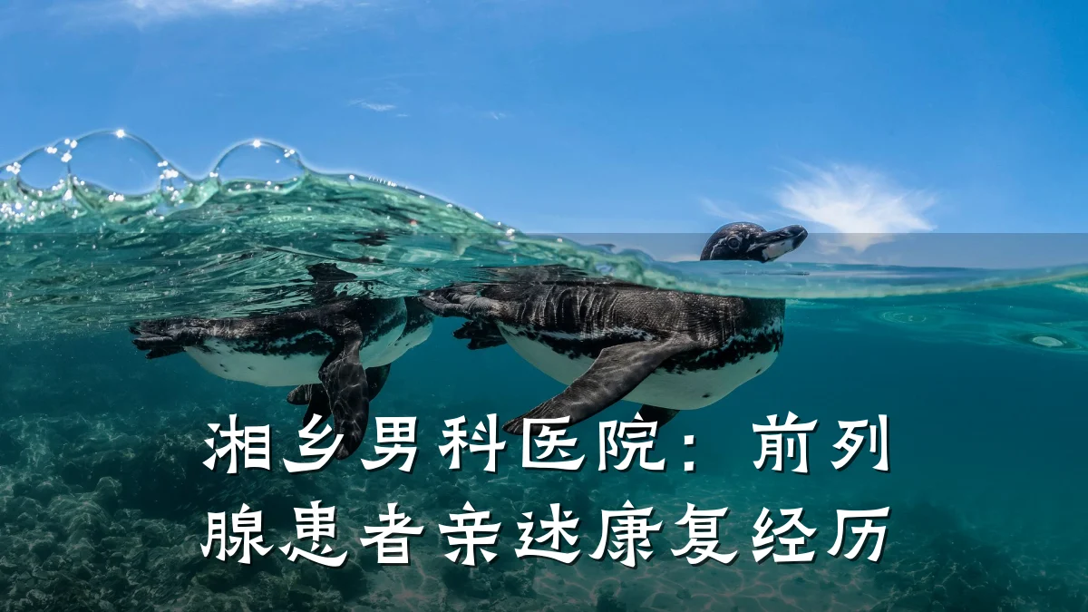 湘乡男科医院:前列腺患者亲述康复经历