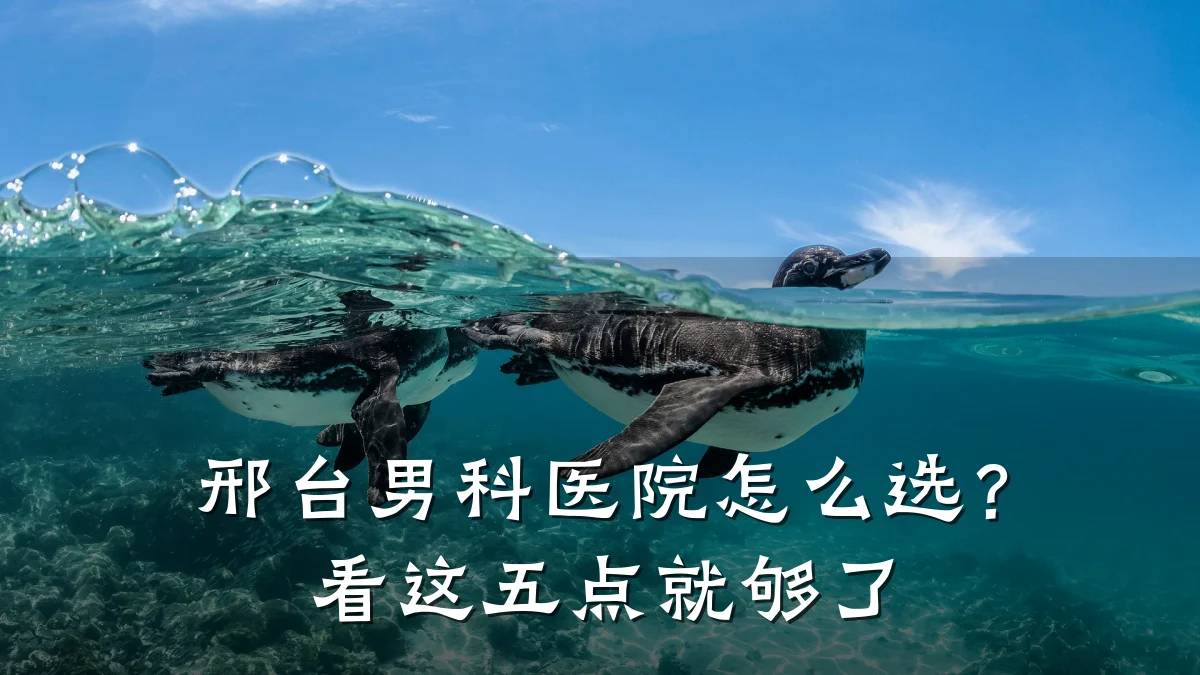 邢台男科医院怎么选?看这五点就够了