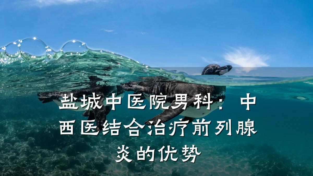 盐城中医院男科:中西医结合治疗前列腺炎的优势