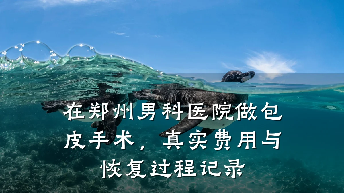 在郑州男科医院做包皮手术,真实费用与恢复过程记录