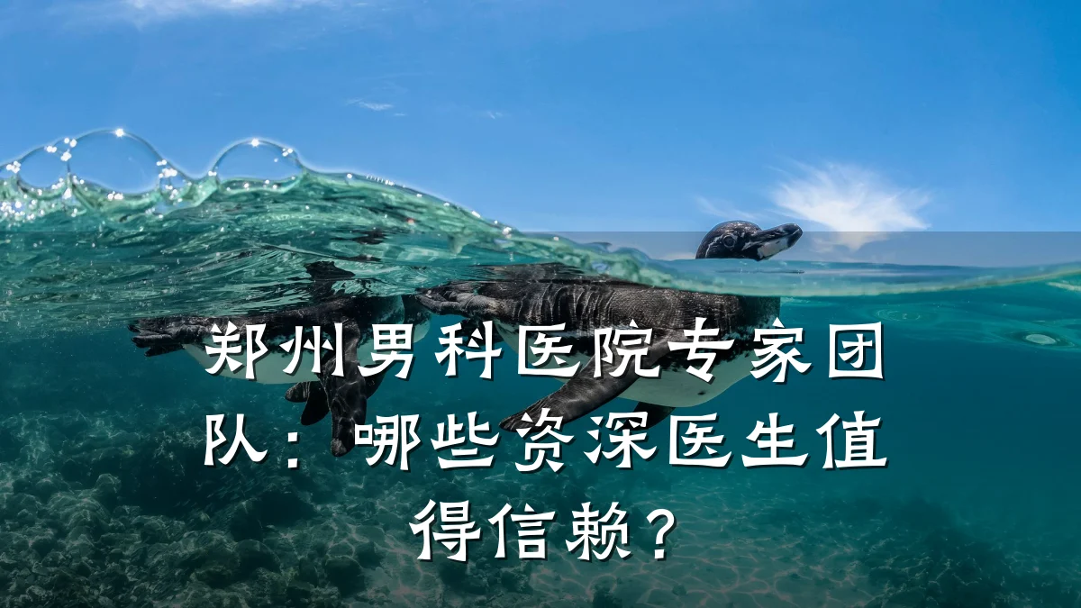 郑州男科医院专家团队:哪些资深医生值得信赖?