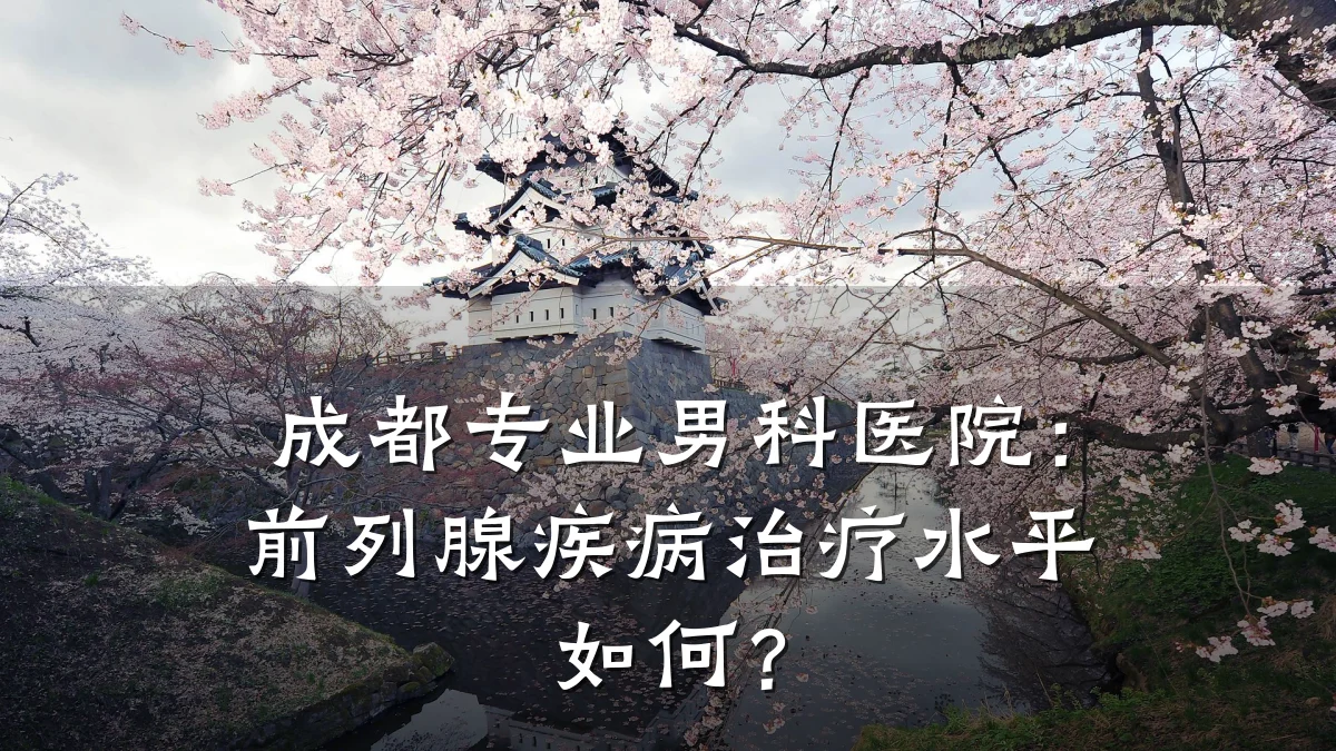 成都专业男科医院:前列腺疾病治疗水平如何?