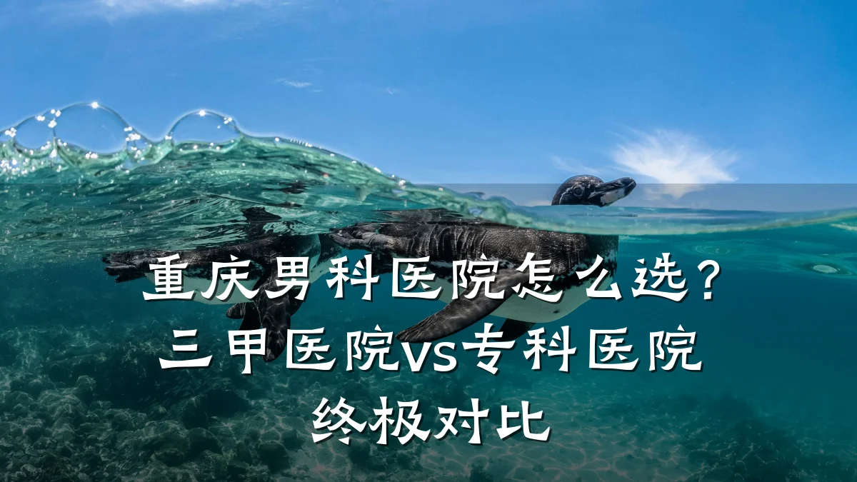 重庆男科医院怎么选?三甲医院vs专科医院终极对比