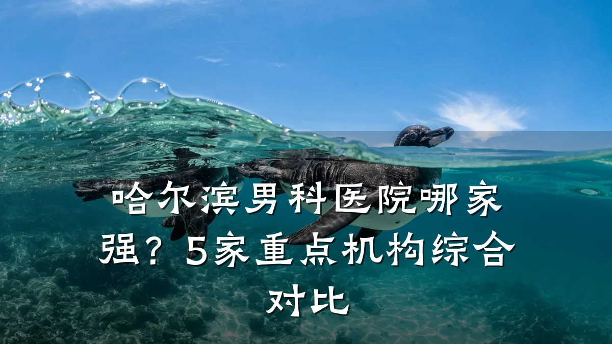 哈尔滨男科医院哪家强?5家重点机构综合对比