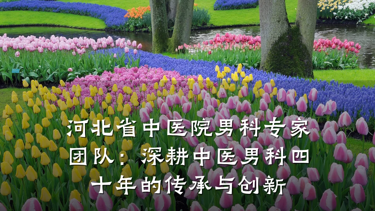 河北省中医院男科专家团队:深耕中医男科四十年的传承与创新