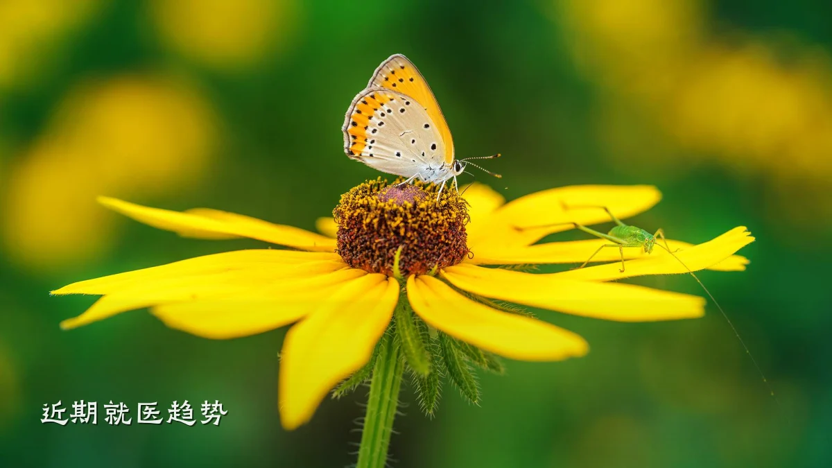 近期就医趋势